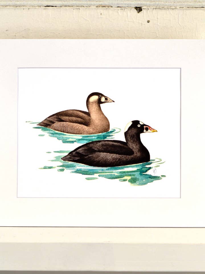 Common Loon Matted Print, En-of-a-Kind akvarellmålning för wholesale av Streetlightbirds