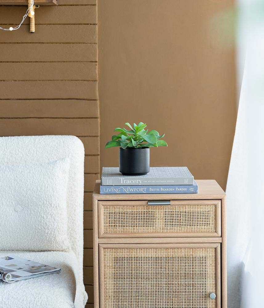 A&B Home Group Inc. – wholesale Artificial plant – Potted Succulent19