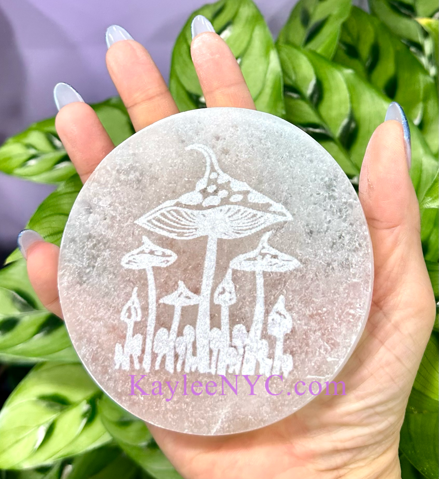KayleeNYC - Wholesale Crystal Charging Plate - Natural Selenite Satin Spar Mushroom Charging Plate2