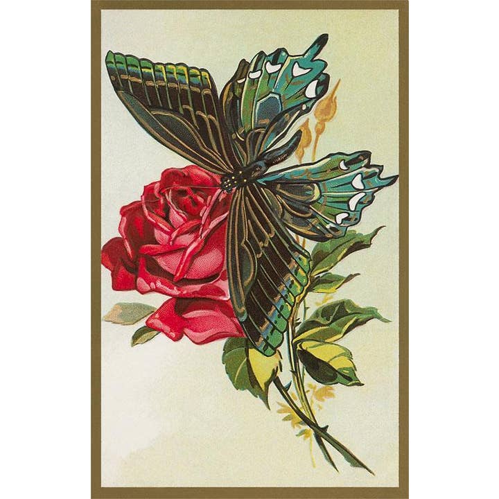 Postcard IS-83 Rose and Butterfly for wholesale by Found Image Press