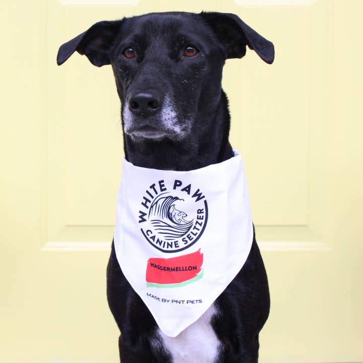 PNT Pets - Vente Bandana – chien - Bandana White Paw Dog1