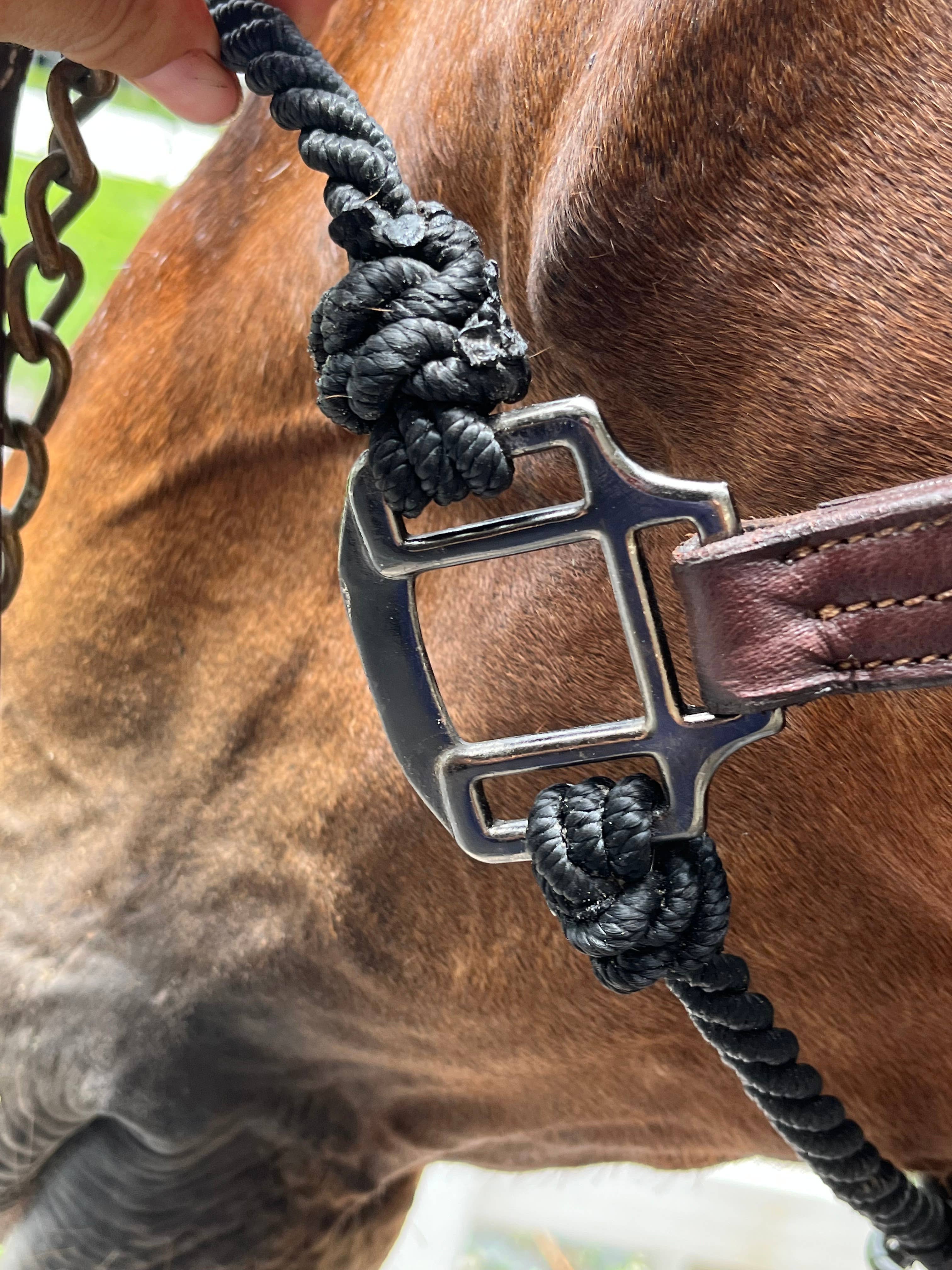 レアREGAL 2021 year model Horse Leather レアREGAL 2021 year model Horse Leather HORSE – Remarkable