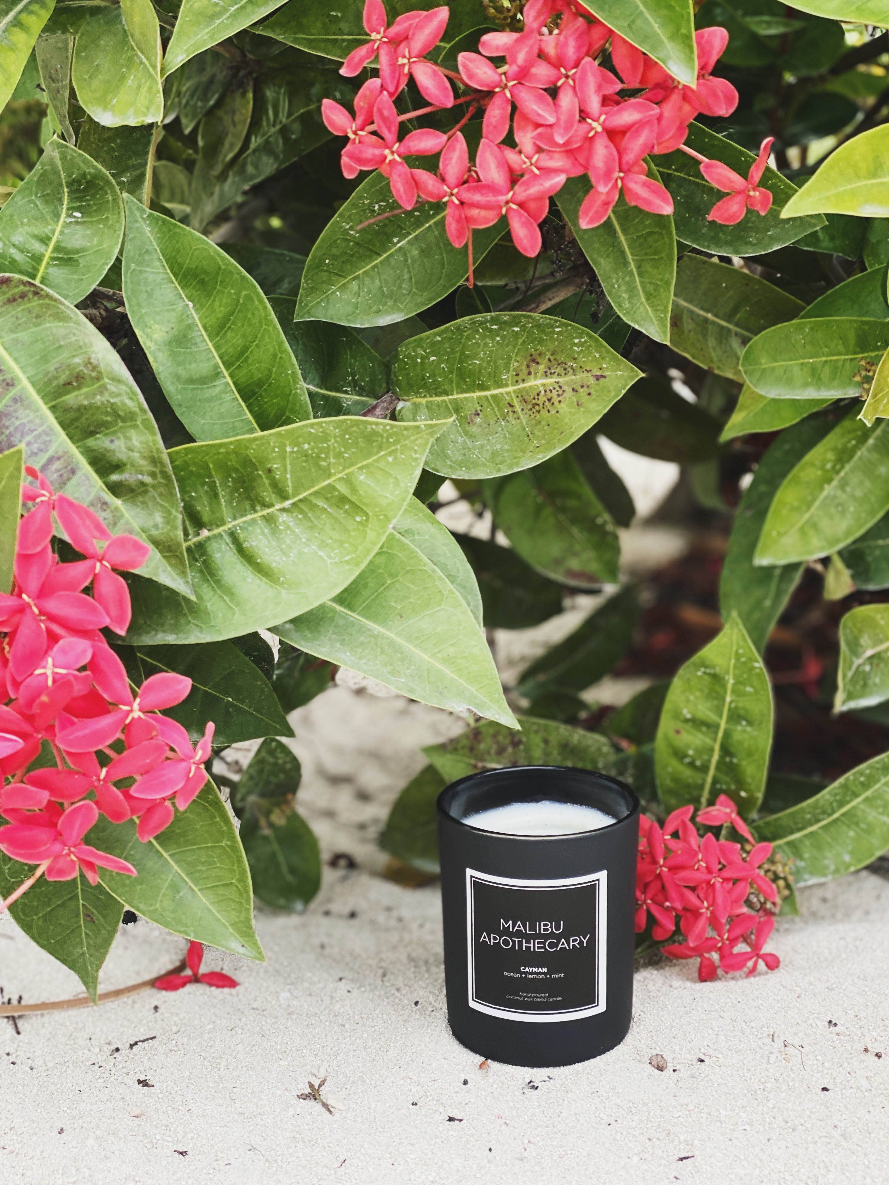 Malibu Apothecary - Wholesale Jar/Filled Candle - Mini Matte Black Candle6