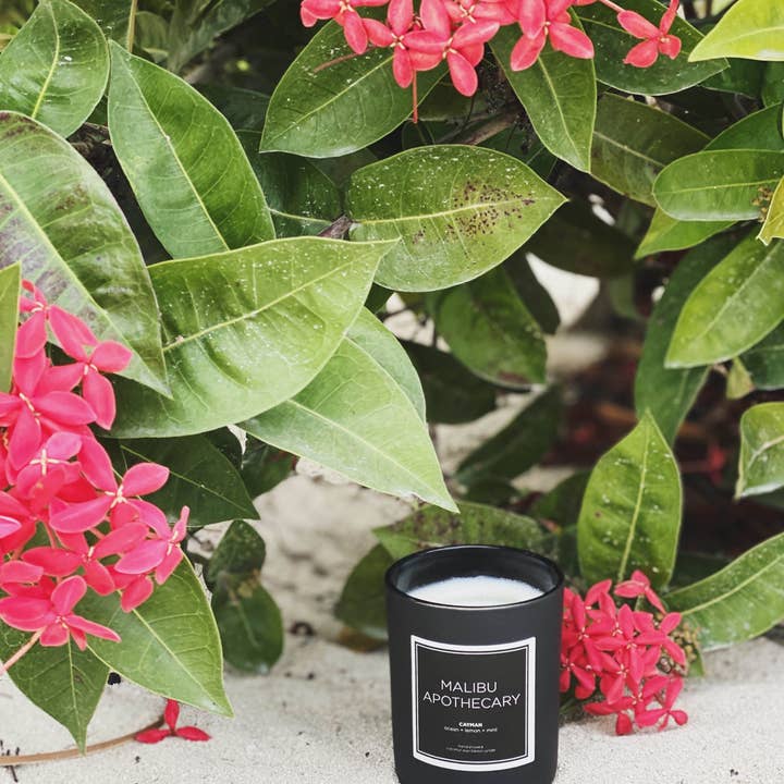 Malibu Apothecary – wholesale Jar/filled candle – Mini Matte Black Candle6