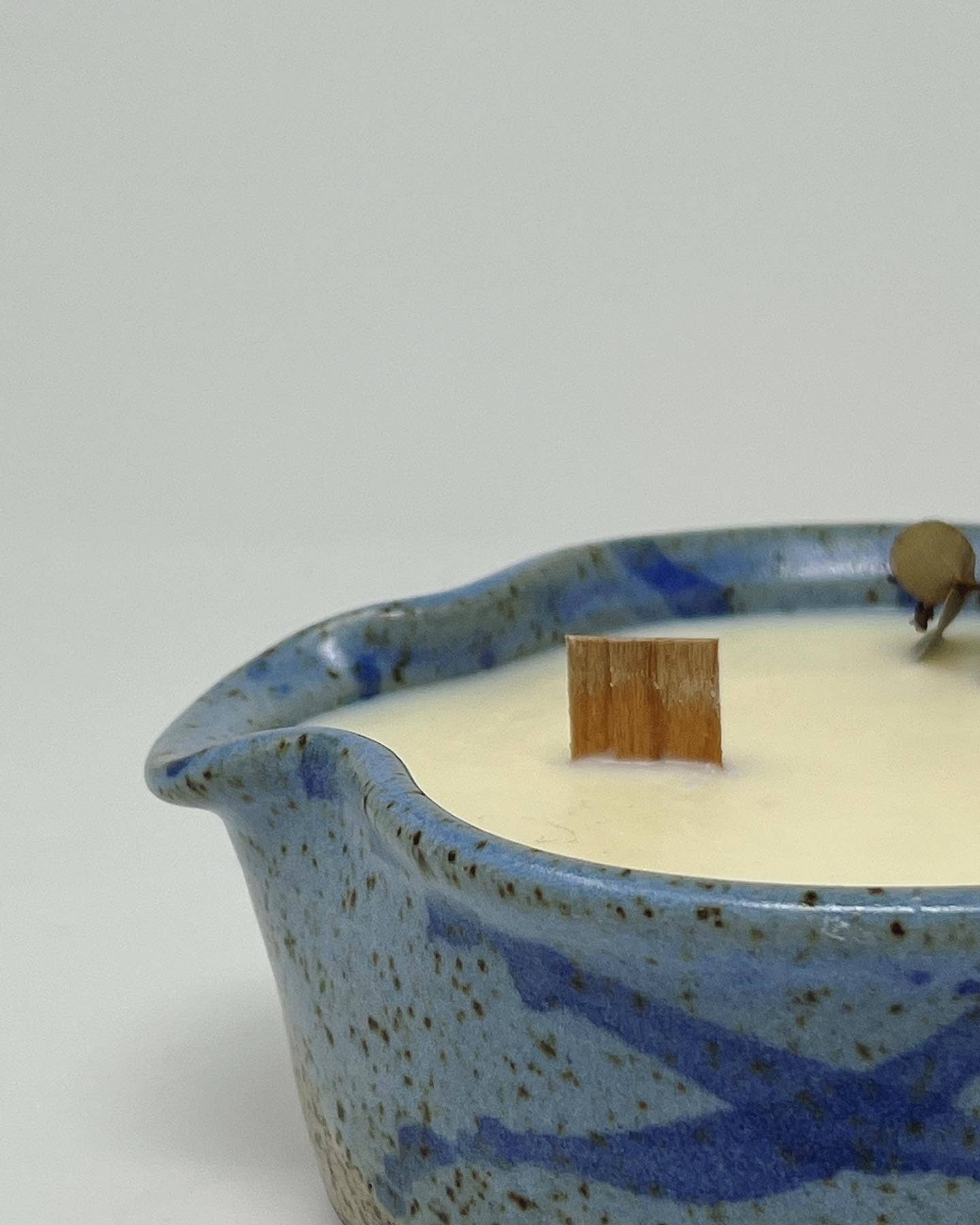 Philodendron and Fern Co. - Wholesale Jar/Filled Candle - One of a Kind Finds Candle5