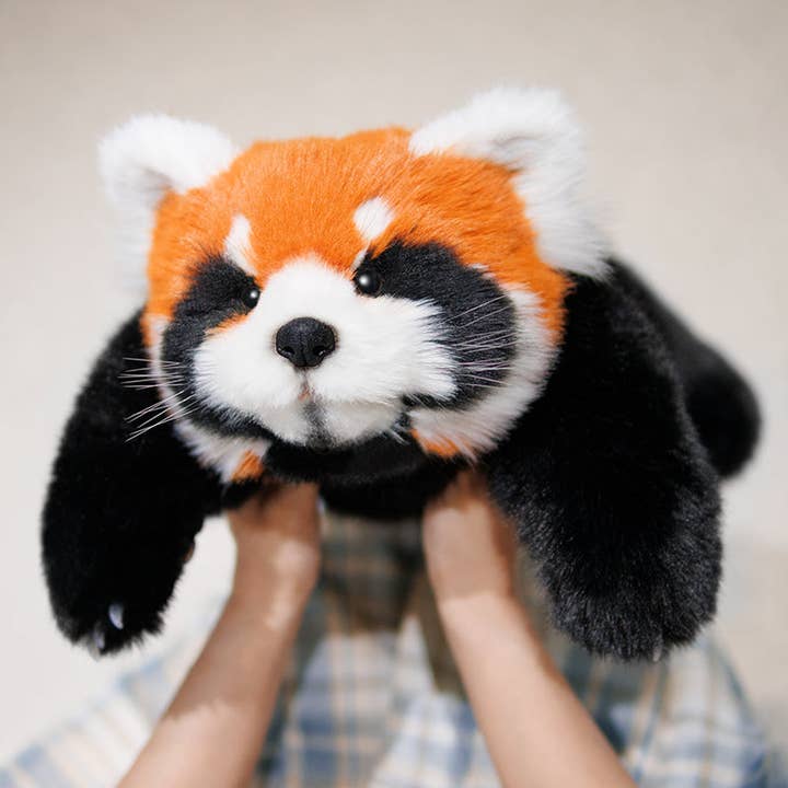 Chongker - Wholesale Stuffed/Plush Toy - Kids & Baby - Red Panda Weighted Plush – Snuggle Toy for Stress Relief9