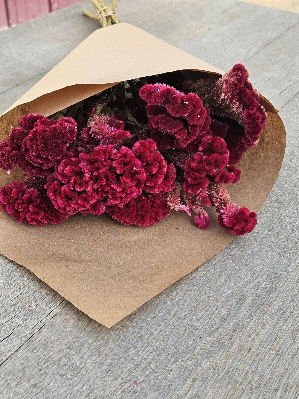 Alissas Flower Farm - Wholesale Dried/Pressed Flowers - Dried Celosia, Comb5