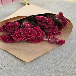 Wholesale Mix Dried Flowers - Pink - Decoration - 15 species for your store  - Faire