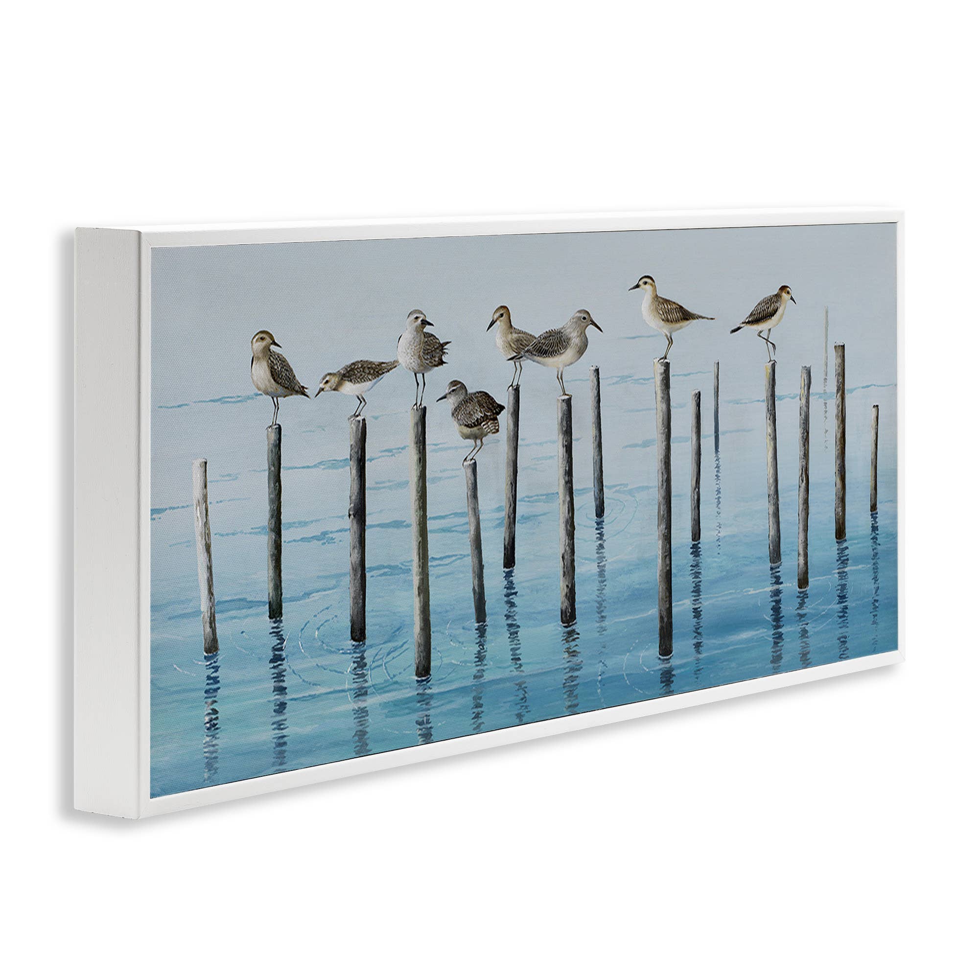 Stupell Industries - Wholesale Wall Sign - Perched Sea Birds - Framed Wall Art15