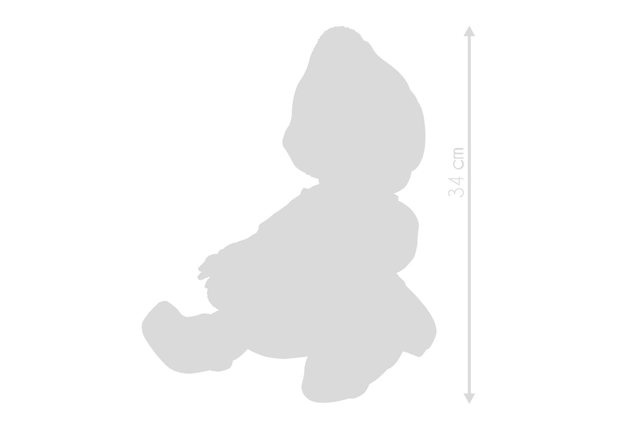 Raúl Arias Bernabeu - Vente Poupée – enfant - Baby Coral 34 cm veste bleue couverture, boîte3