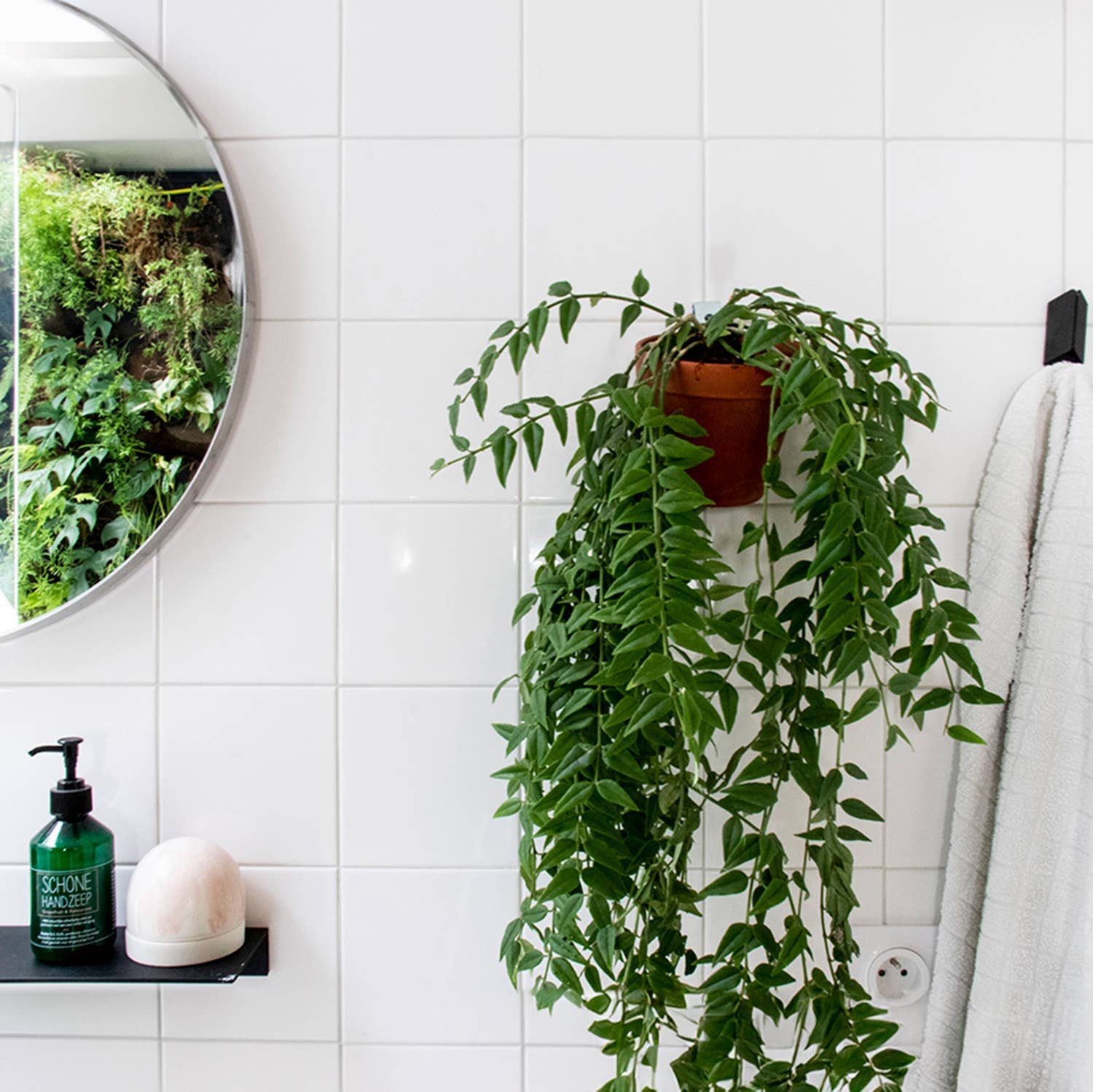 Botanopia USA - gifts , decor and cards for plant lovers - Wholesale Wall Planter - Clippy - Wall mounting kit for 5 plant pots5