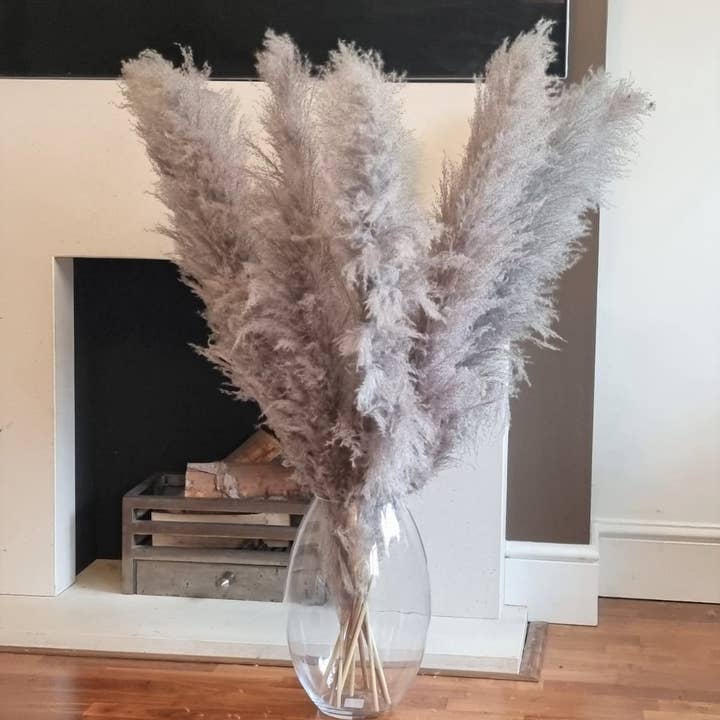 LoveProducts Ltd – Großhandel Getrocknete/gepresste Blumen – Großes Pampasgras natürliches dunkelgraues getrocknetes Blumendekor3
