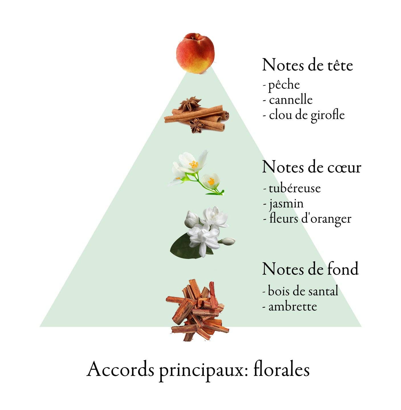 FAMILLE GRASSE PARFUMS - Wholesale Perfume/Eau de Toilette - ARDOR  eau de parfum for women 100ml3