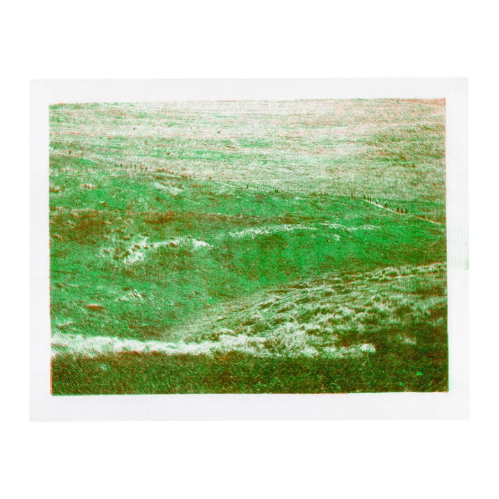 California Poppy Preserve, 2024. for wholesale by bylindseykusterman