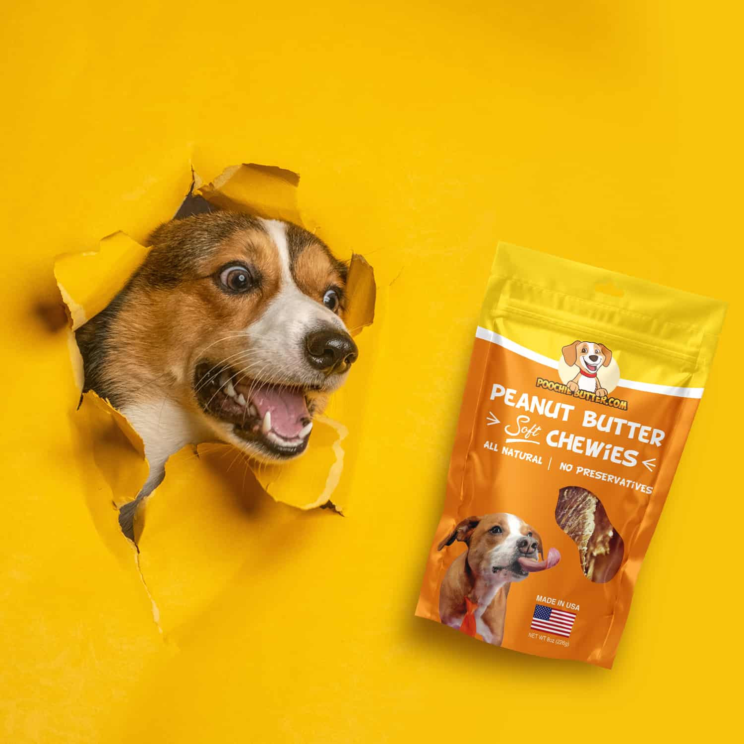 Poochie Butter - Vente Friandises – chien - Friandises pour chiens moelleuses et tendres au beurre de cacahuète 8oz5
