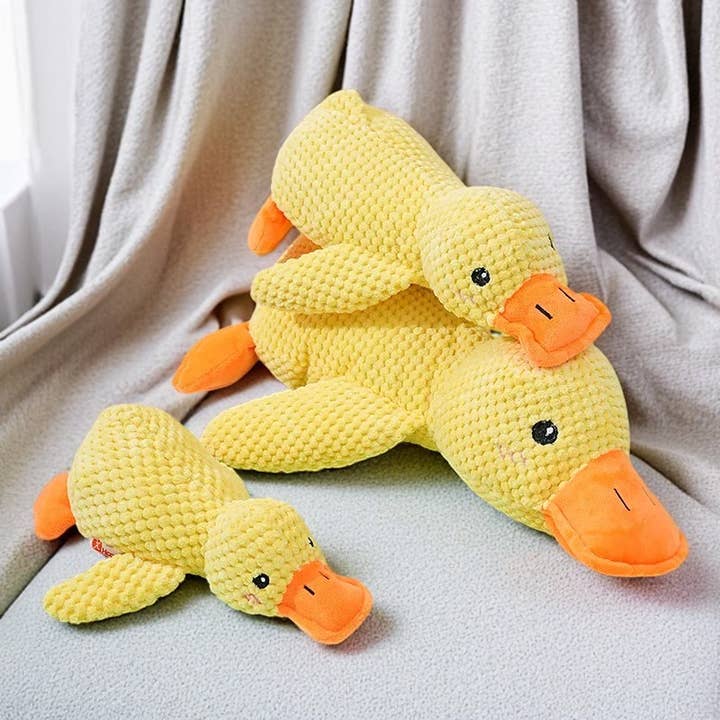 ToyalFriends - All Import Duties Covered! – Großhandel Haustier-Quietschspielzeug – Hund – ToyalFriends Enten-Kauspielzeug mit Quietscher – Plüschspielzeug für Hunde4