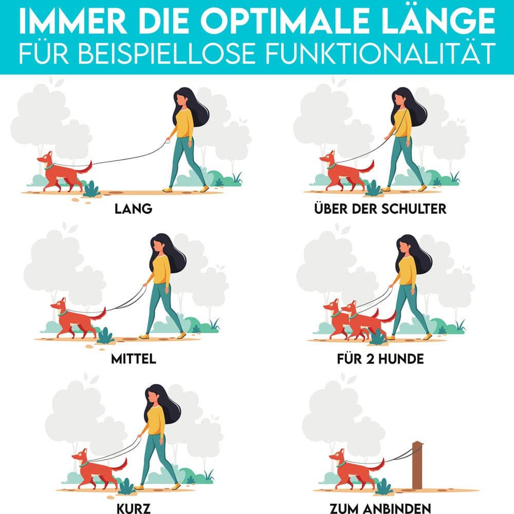 H.I.K. GmbH – Engroshandel Hundesnor - Hund – DOG IS KING® Justerbar hundesnor i 3 længder, 2,3 m6