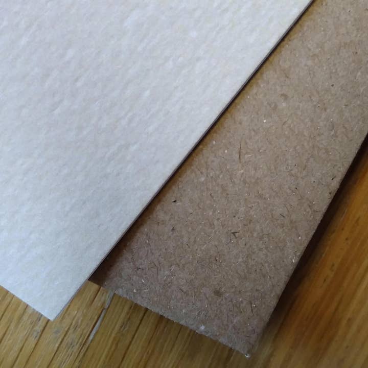 Paper Shed Design Ltd - Wholesale Christmas Card - Christmas Card - To A Special Friend - Golden Labrador5