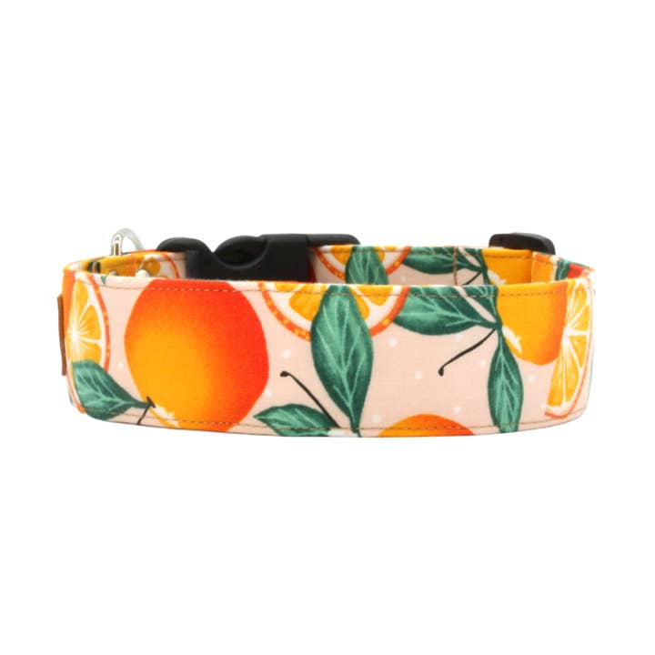 Juicy orange slice fruit dog collar - The Florida for wholesale by Paper Chasing Collars Dog Accessories