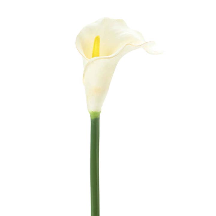 Artificial Calla Lily 24" - White for wholesale by Portofino International Trading, USA