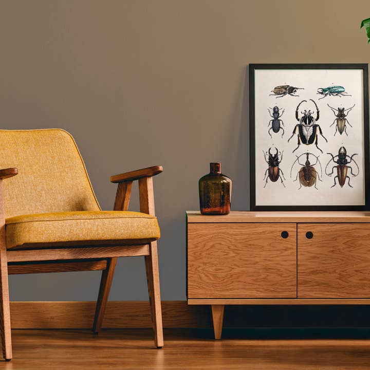 Naturhistorisk Kunstportefølje - 8 kunsttryk i museumskvalitet for engroshandel hos Pepin Press