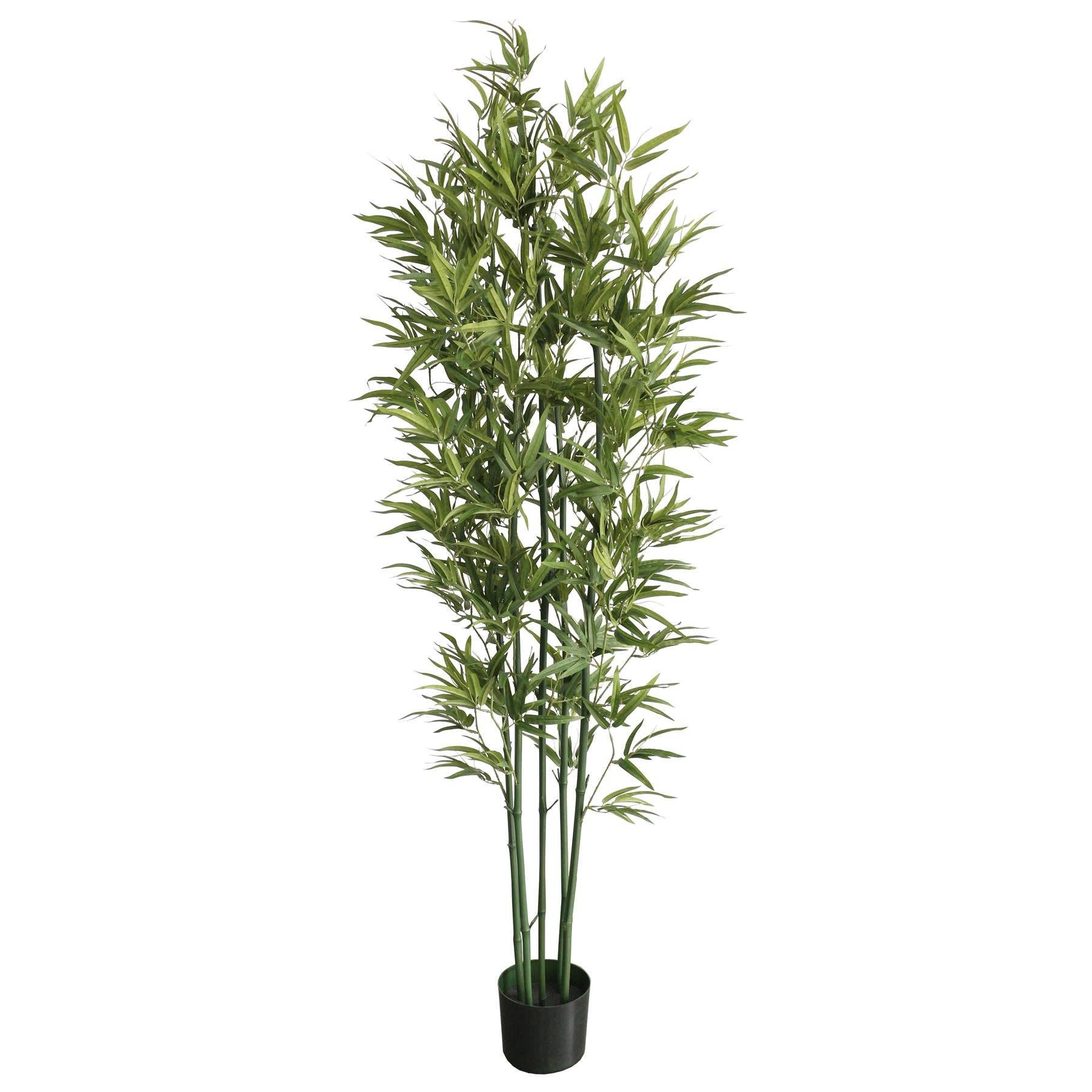 Leaf Design UK LTD - Wholesale Artificial Plant - 180cm Natural Green Bamboo Artificial0