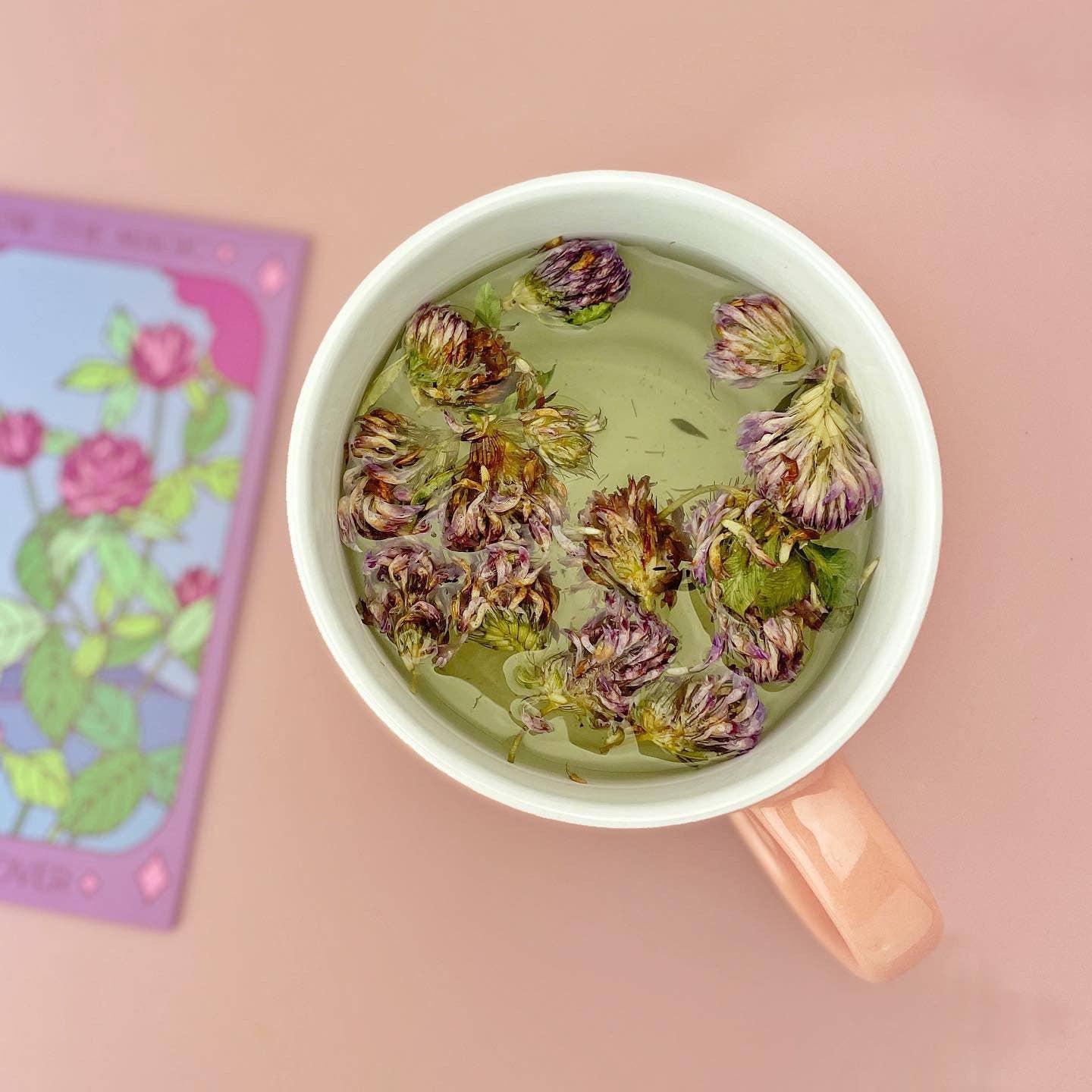 Sow the Magic - Wholesale Plant Seeds - Purple Clover Tarot Seed Packet5