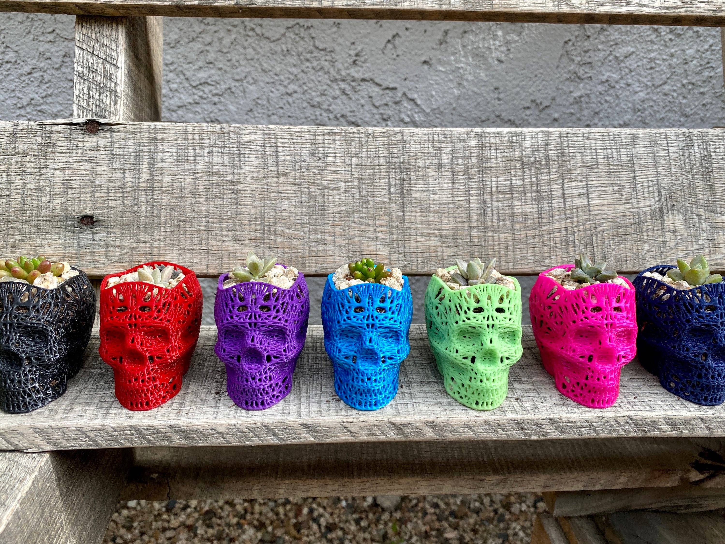 NumanPrints - Wholesale Plant Pot - 3D Printed Succulent Skull Planter Pot Small Indoor6