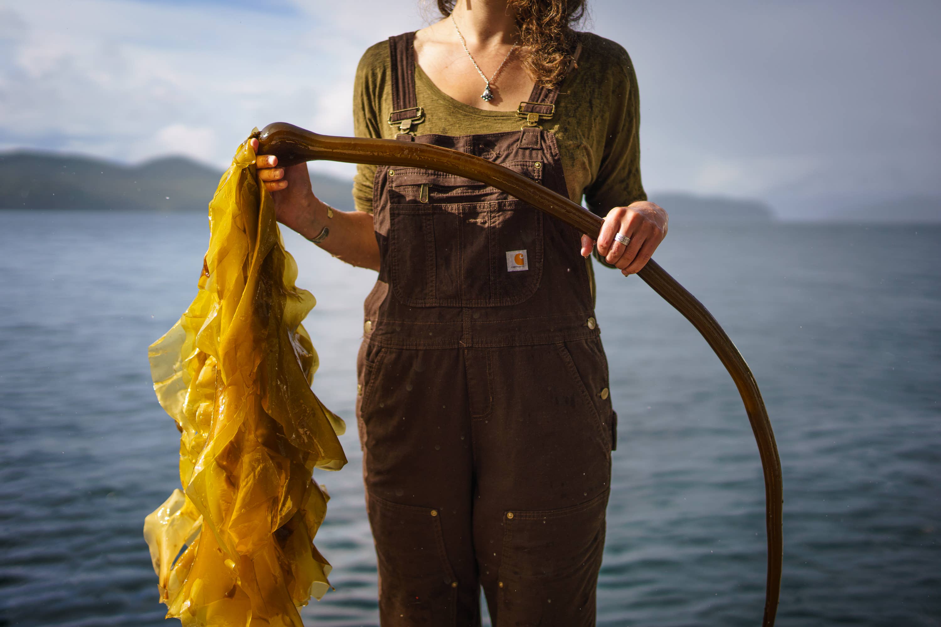 Barnacle Foods – Molho picante por atacado – Molho de Pimenta Bullwhip7