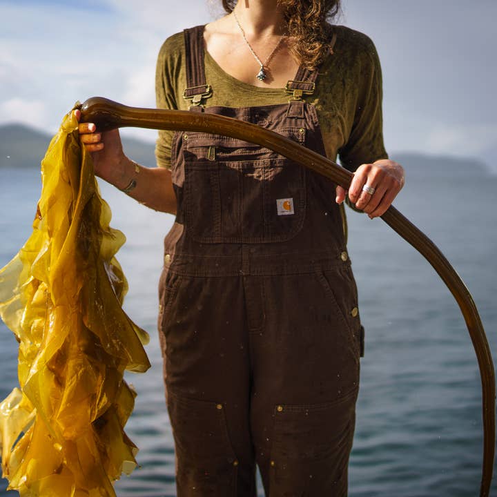 Barnacle Foods – Molho picante por atacado – Molho de Pimenta Bullwhip7