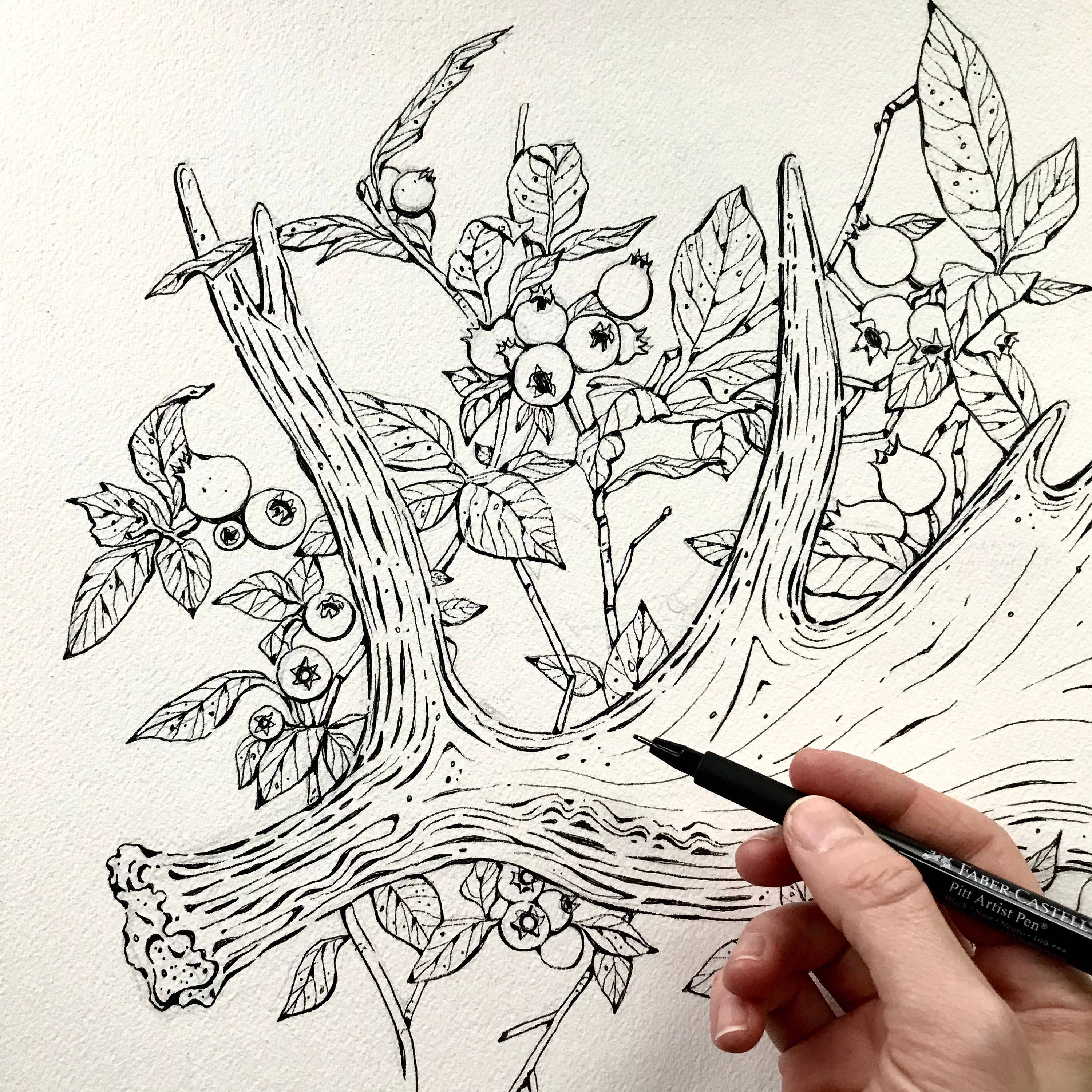 Rosalie Haizlett Illustration - Vendita all'ingrosso Stampa artistica - Stampa artistica ad acquerello con corna d'alce4