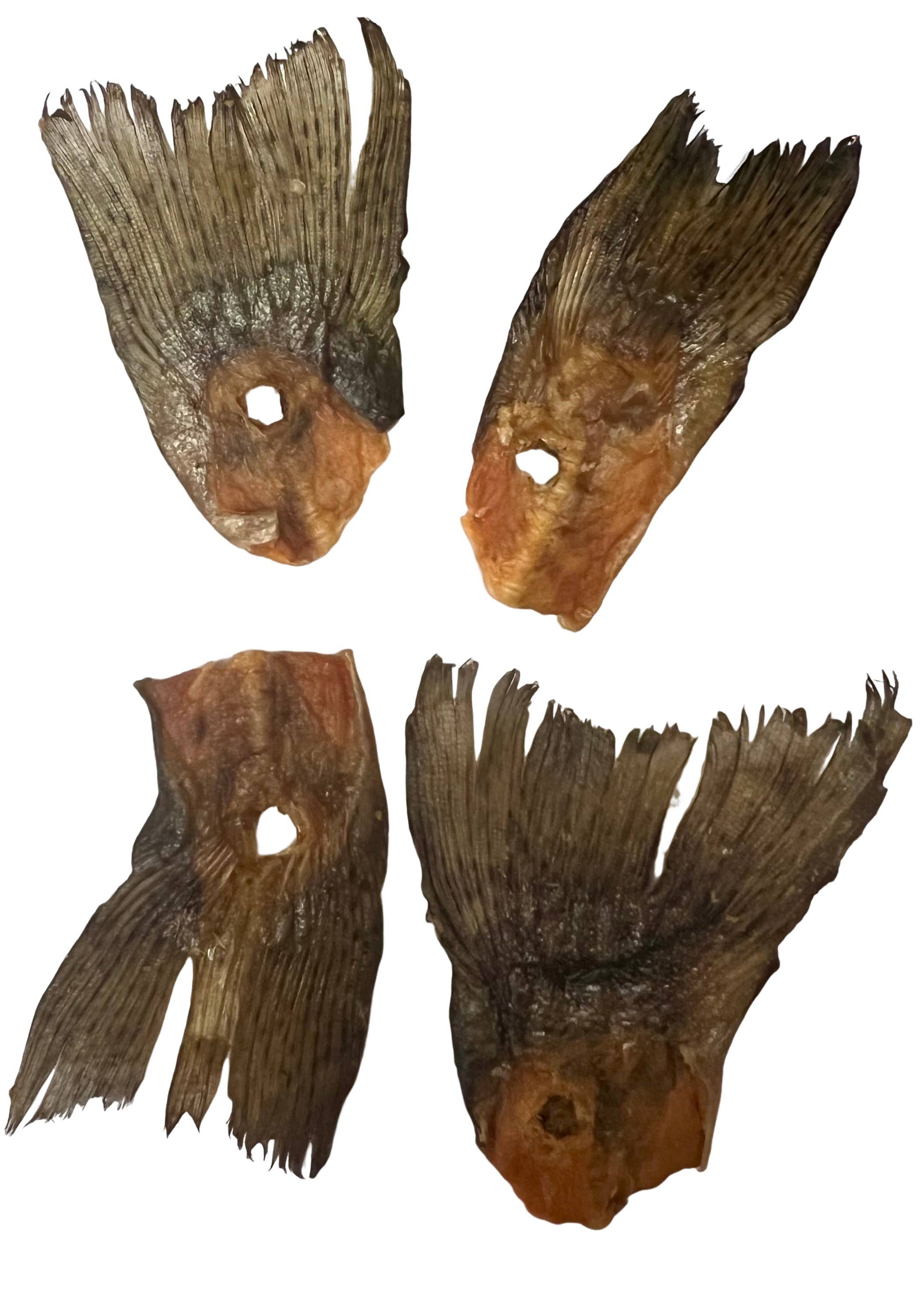 Cernunos - Wholesale Hondenkoekjes - Hond - Forelstaarten voor honden1