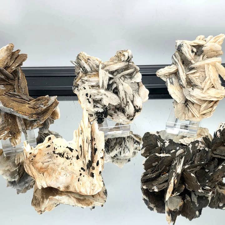 Noir Manganese Rose Crystal Baryte 400-600g for wholesale by Distinction Crystals