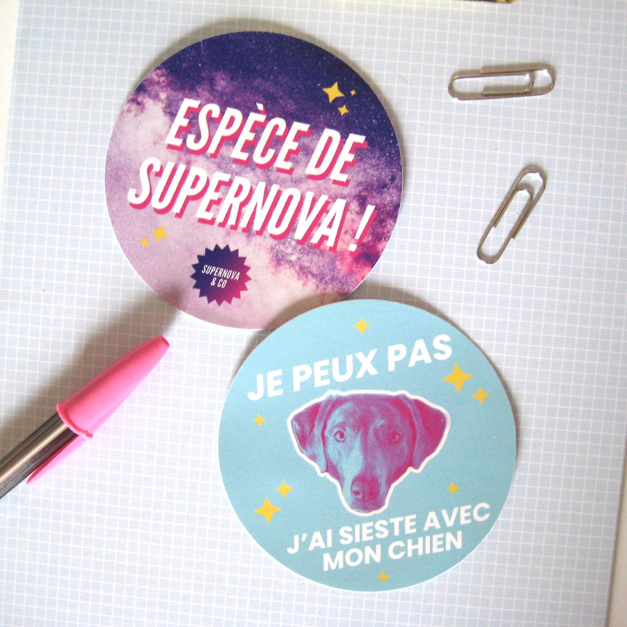 SUPERNOVA & CO - Wholesale Sticker - Humorous Dog Sticker: I Nap With My Dog2