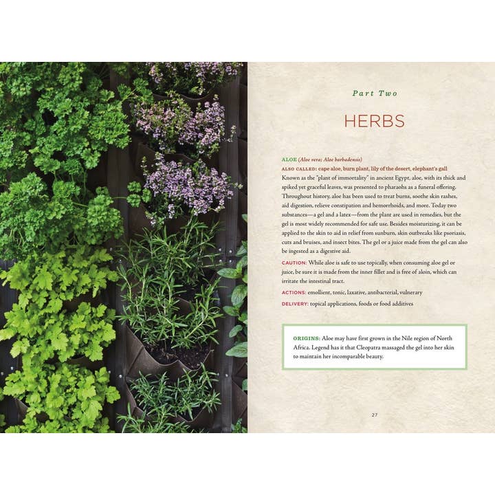 Union Square & Co. - Wholesale Book - Adult - Healing Herbs Handbook: Recipes for Natural Living
