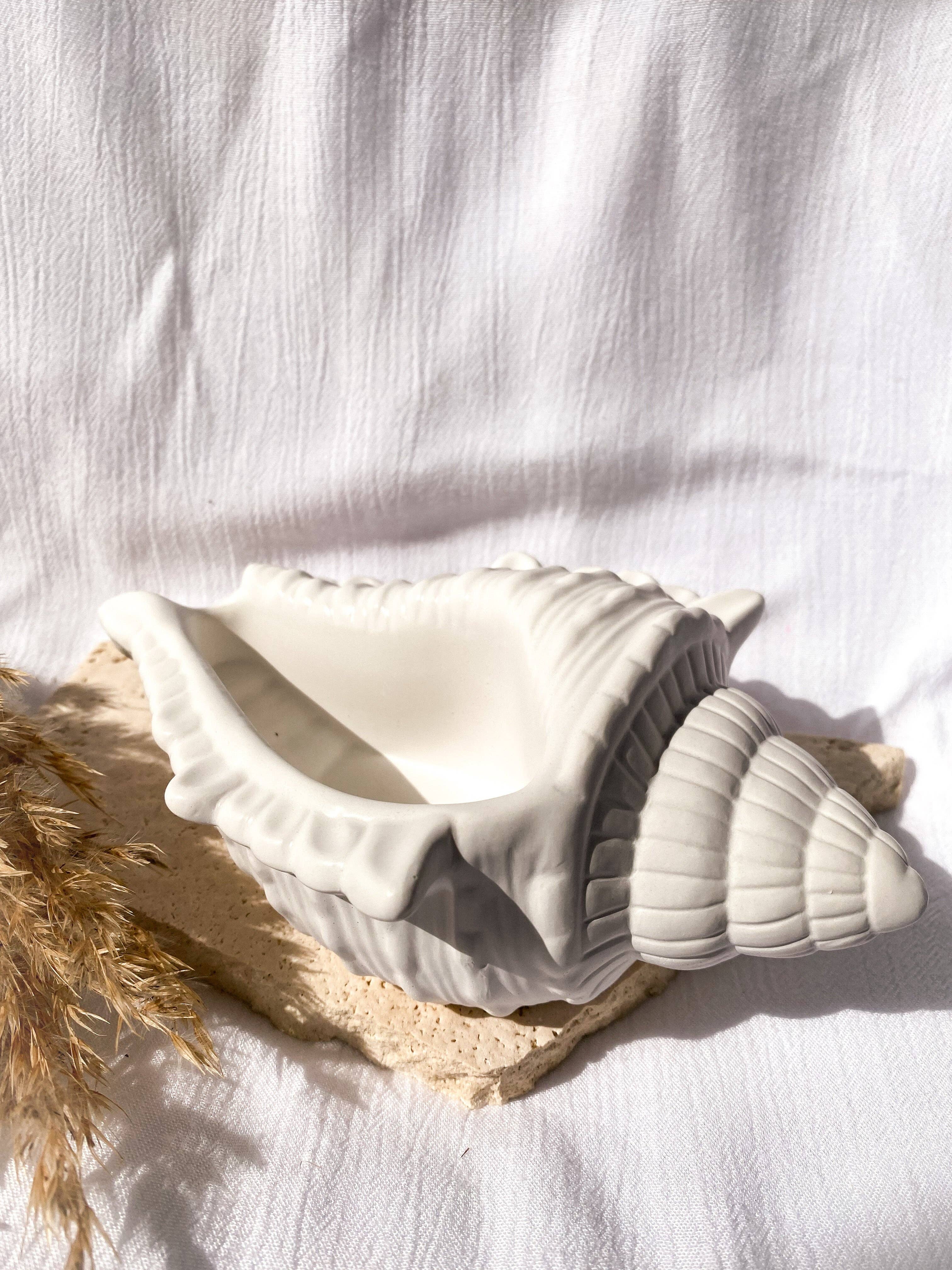 Niki Candle – Großhandel Tischdeko – Große Muschel3