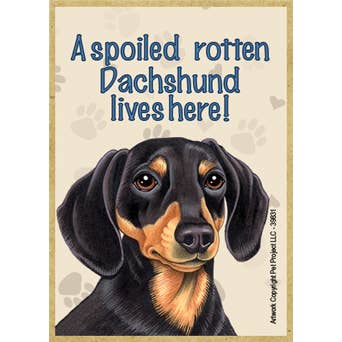 A spoiled rotten Dachshund (Black and Tan) lives here! wood for wholesale by SJT Enterprises, Inc.