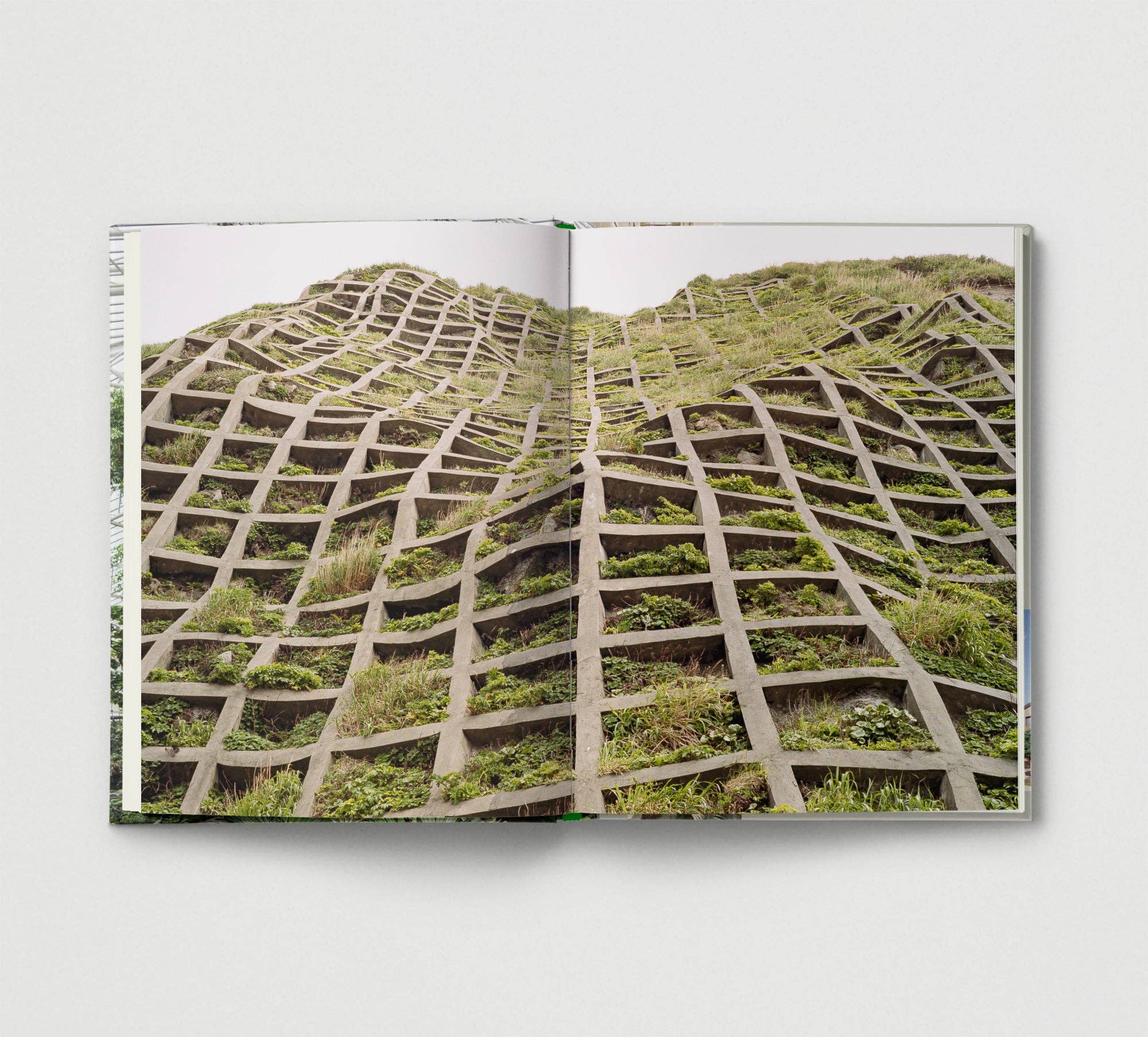 Hoxton Mini Press - Wholesale Nature and outdoors - Brutalist Plants2