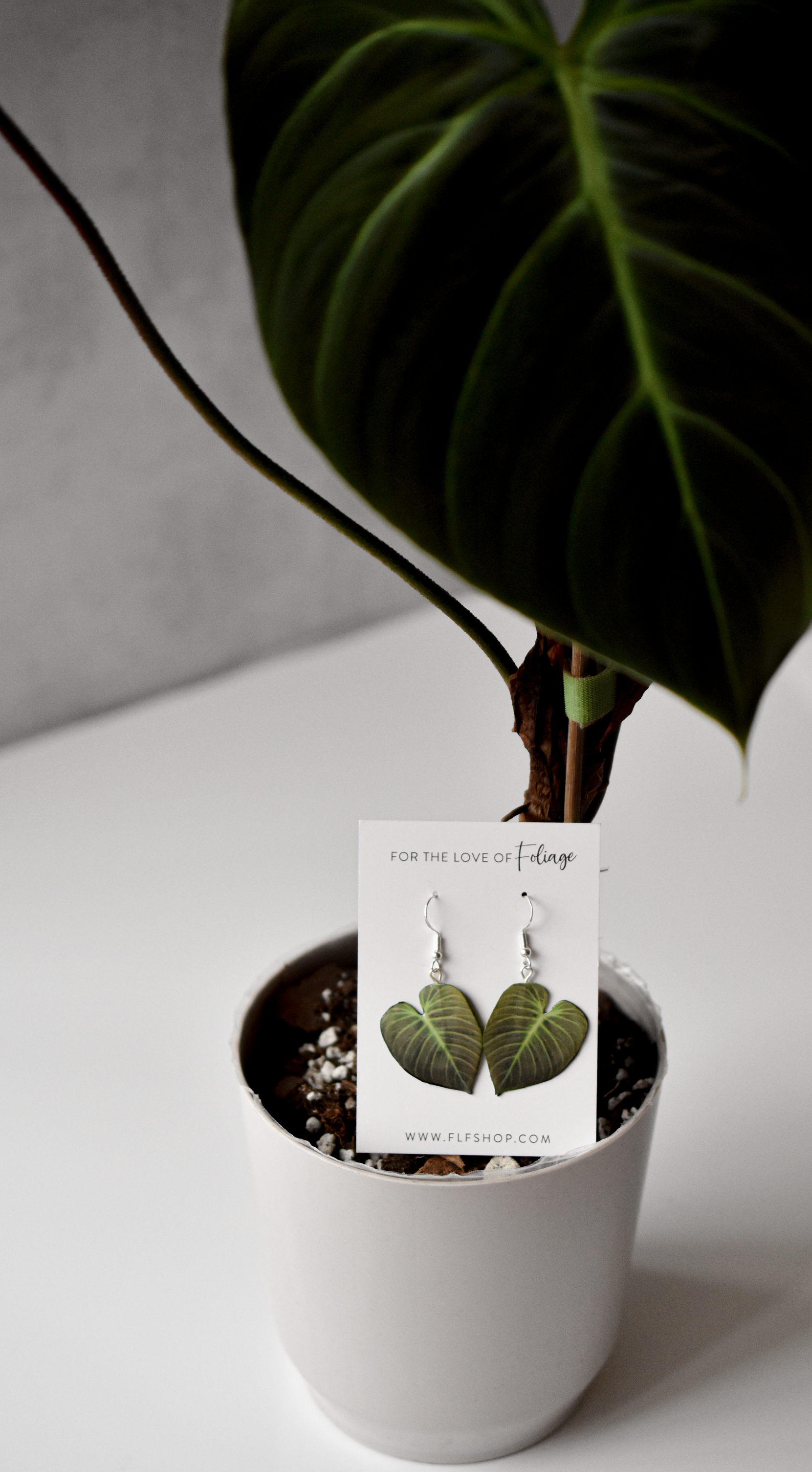 For the Love of Foliage - Wholesale Dangle Earrings - Philodendron El Choco Red || Handmade Leaf Earrings || Plant Earrings || Sterling Silver Earrings3