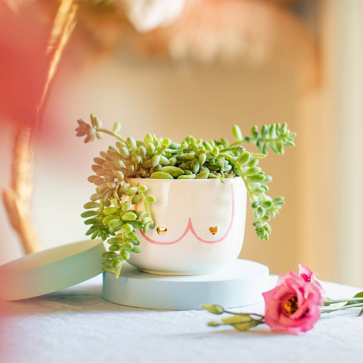 Sass and Belle – wholesale Plant pot – Large Girl Power Boobies Planter1