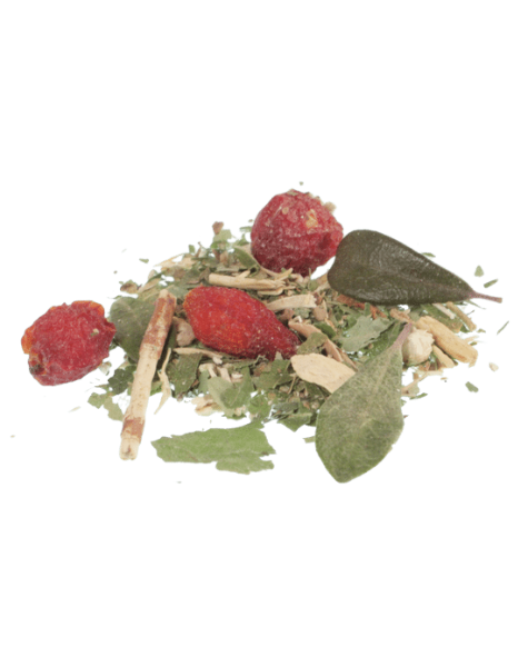 Boreal Heartland - Vente Sachets de thé - Mélange de thé énergisant - Sachets de thé1