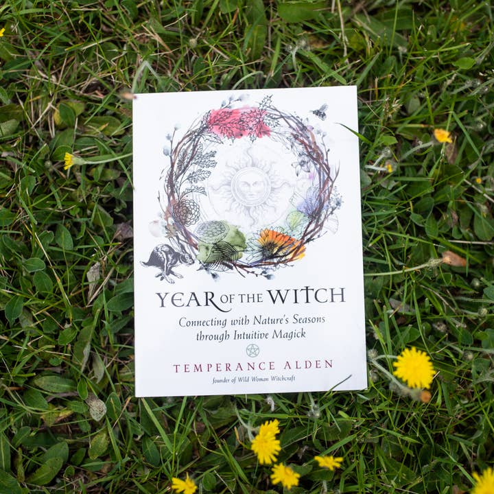 Red Wheel/Weiser LLC - Wholesale Body, Mind & Spirit - Year of the Witch (Paperback)1