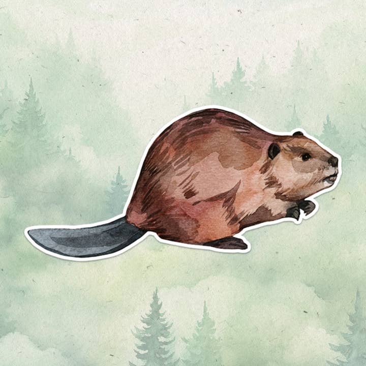 Pegatina Beaver para venta al por mayor de Soul Familiar