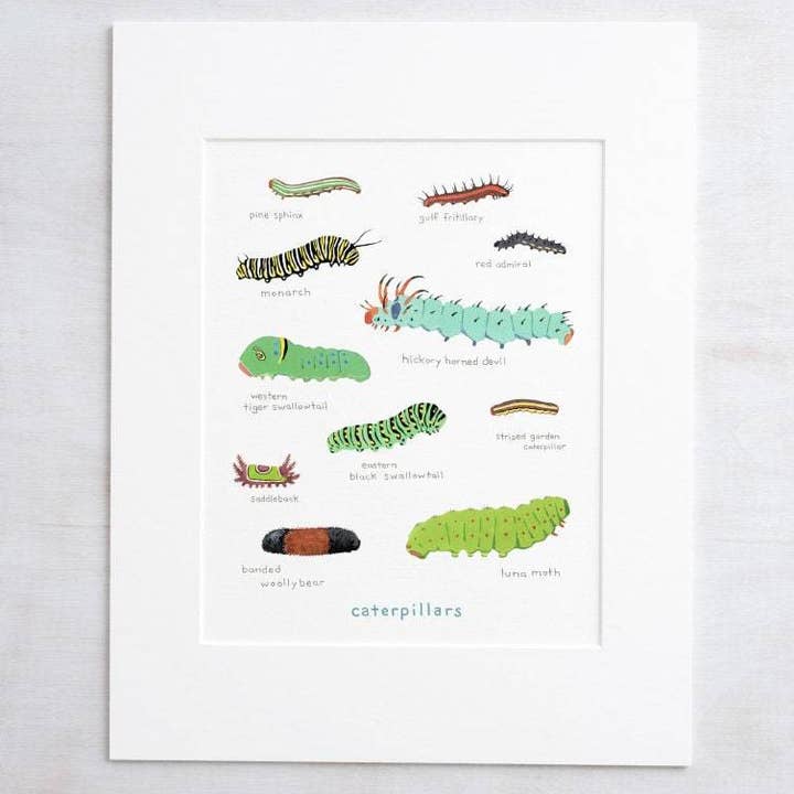 Caterpillar Chart Print, Colorful Kids Art Print for wholesale by Studio Tuesday
