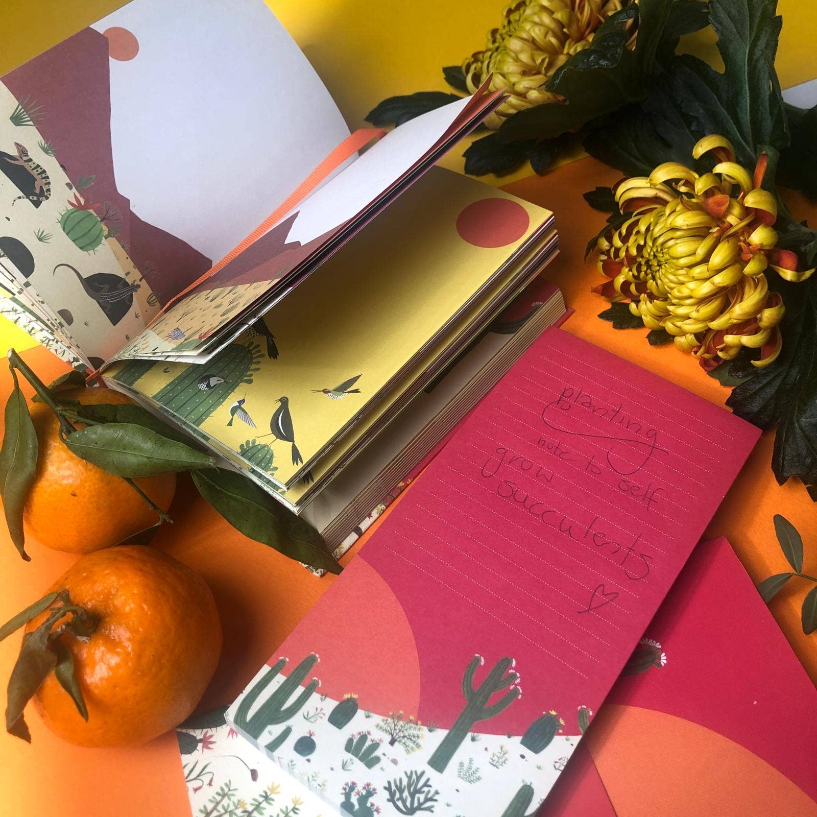 Roger La Borde - Wholesale Journal/Diary - Cactus Grove Illustrated Journal  - AS 0781