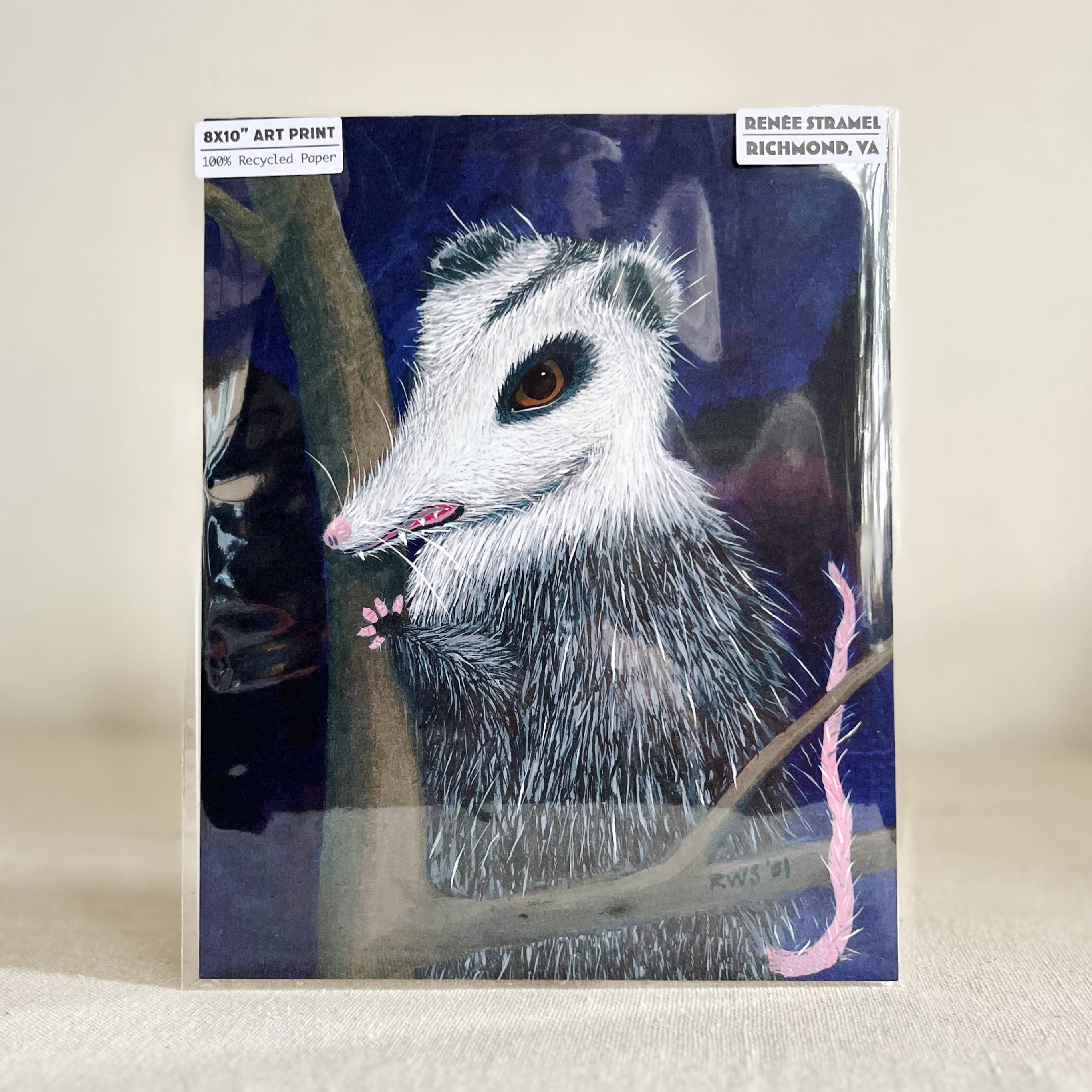 Renée Stramel - Wholesale Art Print - 8x10" Art Print • Possum 1
