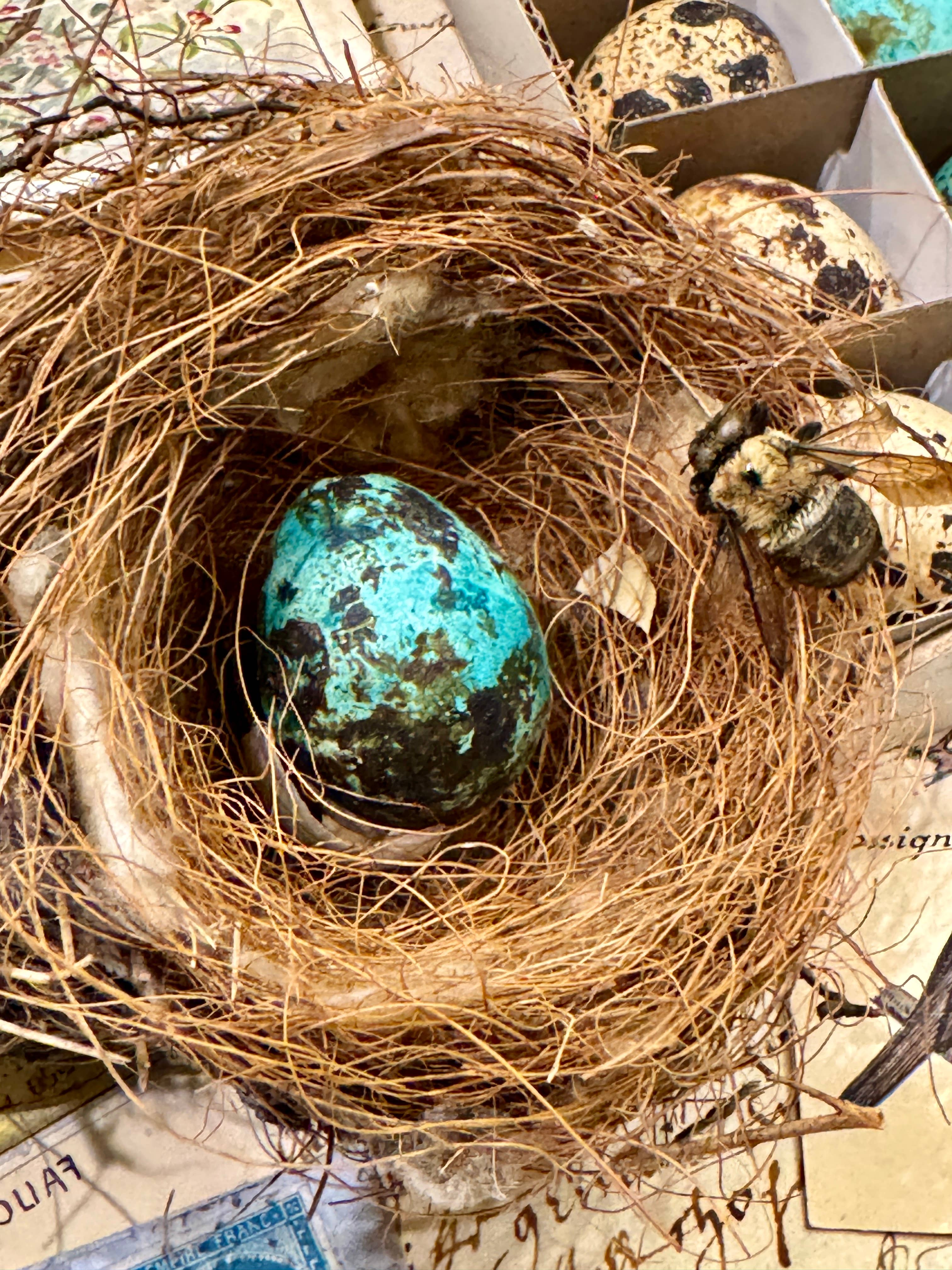 Monahan Papers - Vendita all'ingrosso Decorazioni da tavolo - Set di 20 uova di quaglia decorative colorate2