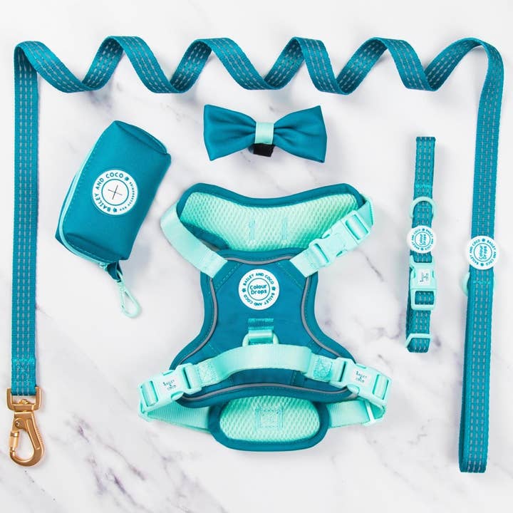 Trail & Glow® Dog Harness Bundle Set - COLOUR DROPS® - Ice Teal for wholesale by Bailey and Coco