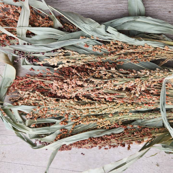 Alissas Flower Farm - Wholesale Dried/Pressed Flowers - Grass: Broom Corn2
