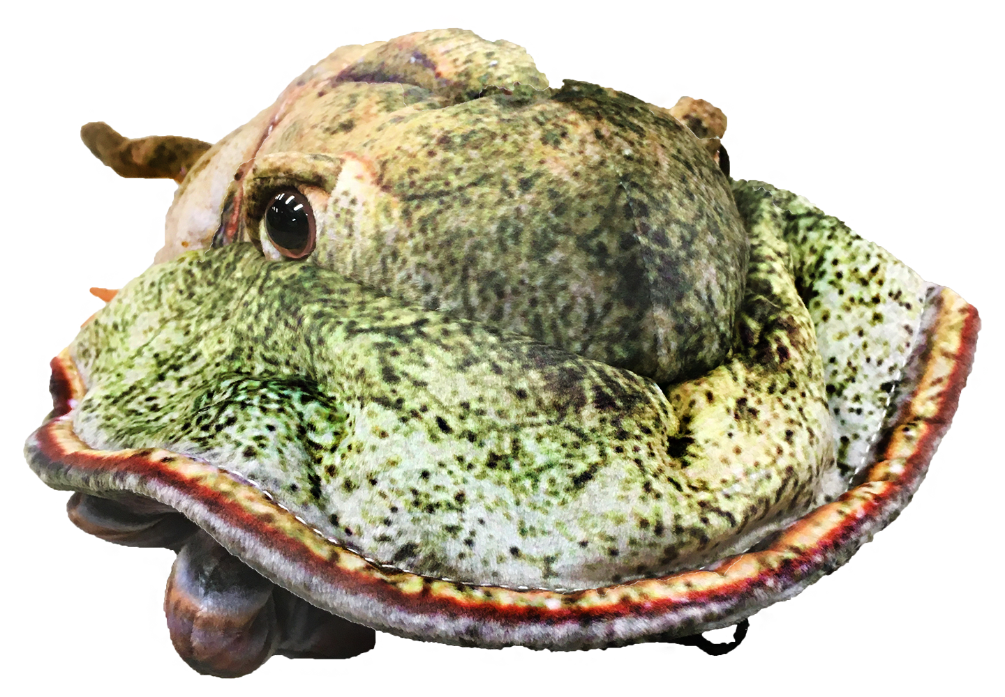 Texas Toy Distribution - Wholesale Stuffed/Plush Toy - Kids & Baby - Horseshoe Crab 17.75" Plush Stuffed Animal1